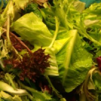 Bitter green salad