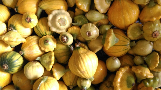 Golden nugget and patty pan squash.